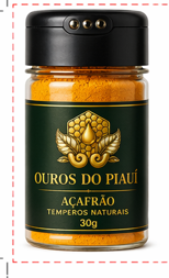 Kit Tempero Saude e Sabor